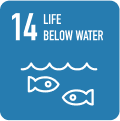 SDG