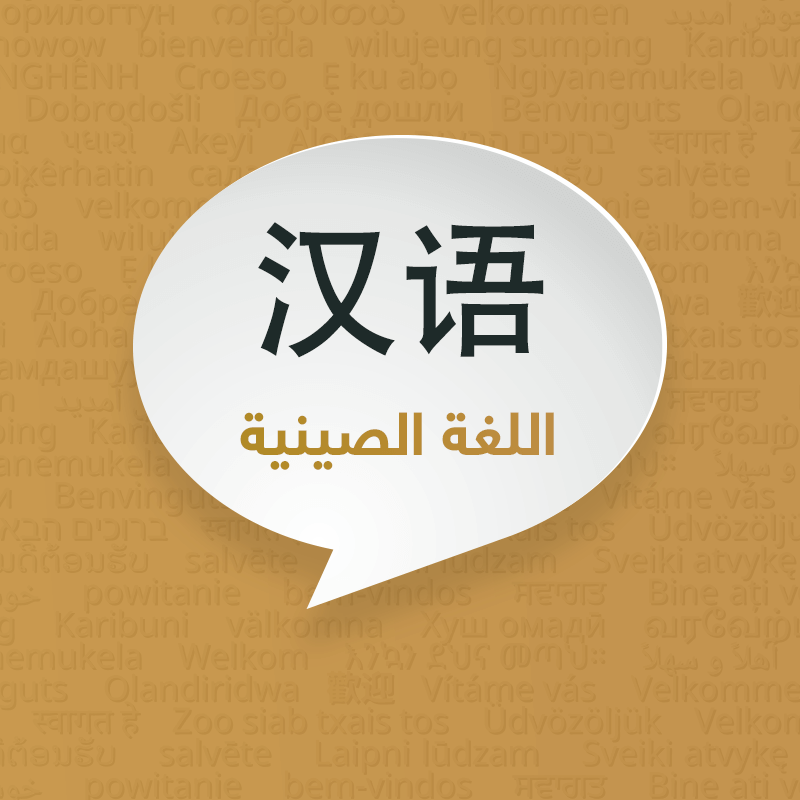 اللغة الصينية