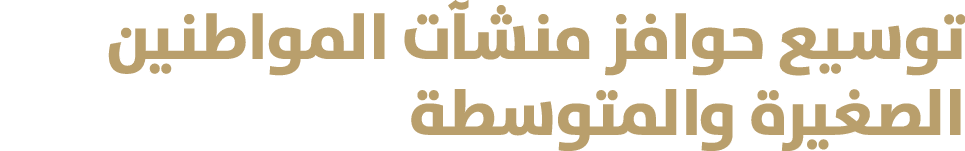 توسيع حوافز منشآت المواطنين الصغيرة والمتوسطة 