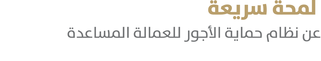  لمحة سريعة عن نظام حماية الأجور للعمالة المساعدة 