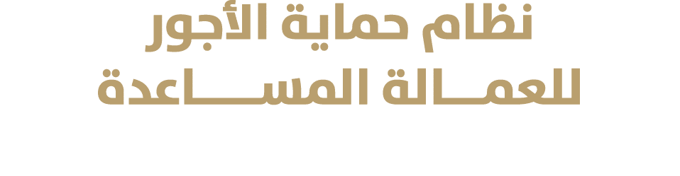 نظام حماية الأجور للعمـــالة المســـــاعدة