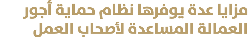 مزايا عدة يوفرها نظام حماية أجور العمالة المساعدة لأصحاب العمل 