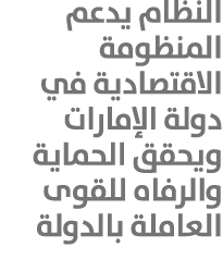 النظام يدعم المنظومة الاقتصادية في دولة الإمارات ويحقق الحماية والرفاه للقوى العاملة بالدولة 