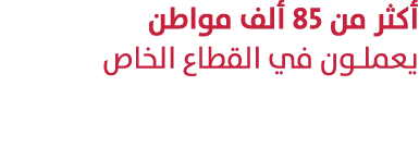 أكثر من 85 ألف مواطن يعملون في القطاع الخاص 