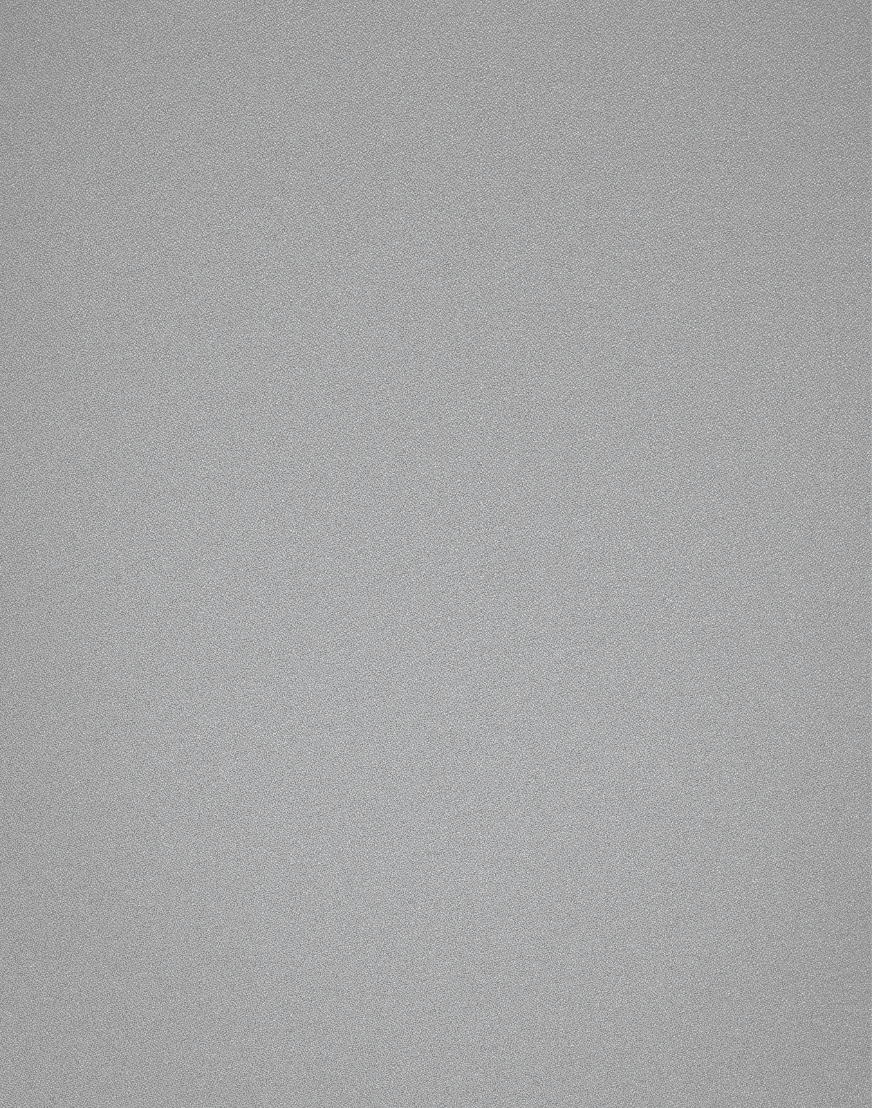 Black wall background.