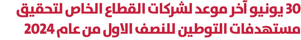 30 يونيو آخر موعد لشركات القطاع الخاص لتحقيق مستهدفات التوطين للنصف الاول من عام 2024 