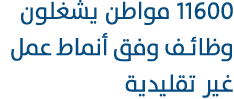 11600 مواطن يشغلون وظائف وفق أنماط عمل غير تقليدية 