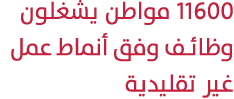 11600 مواطن يشغلون وظائف وفق أنماط عمل غير تقليدية 