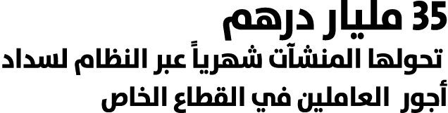 35 مليار درهم تحولها المنشآت شهرياً عبر النظام لسداد أجور العاملين في القطاع الخاص