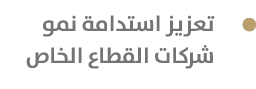  تعزيز استدامة نمو شركات القطاع الخاص
