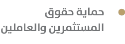  حماية حقوق المستثمرين والعاملين