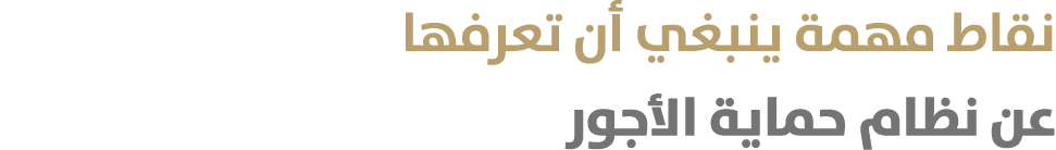 نقاط مهمة ينبغي أن تعرفها عن نظام حماية الأجور