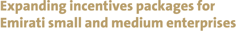 Expanding incentives packages for Emirati small and medium enterprises 