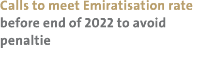 Calls to meet Emiratisation rate before end of 2022 to avoid penaltie