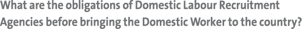 What are the obligations of Domestic Labour Recruitment Agencies before bringing the Domestic Worker to the country?