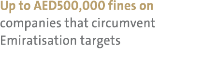 Up to AED500,000 fines on companies that circumvent Emiratisation targets 