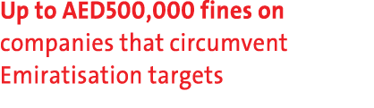 Up to AED500,000 fines on companies that circumvent Emiratisation targets 
