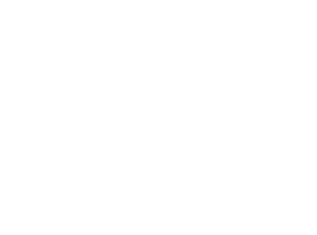 Emiratis who currently work in the private sector benefited from individual counselling programmes