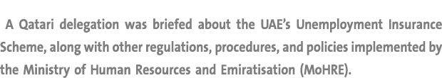  A Qatari delegation was briefed about the UAE’s Unemployment Insurance Scheme, along with other regulations, procedu...