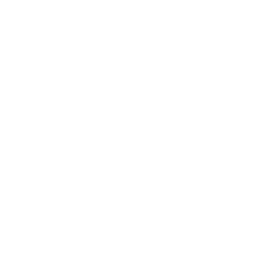 Unprecedented historical results in the number and types of jobs for Emiratis in the private sector 