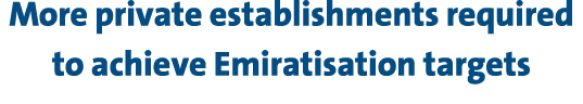 More private establishments required to achieve Emiratisation targets 