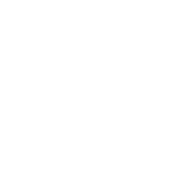 Identifying and understanding challenges and potential developments that may be encountered, and conducting periodic ...