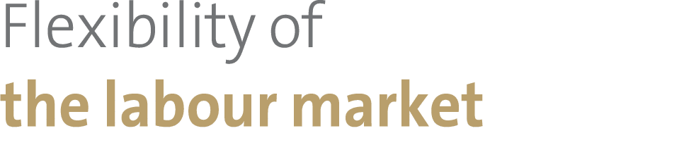 Flexibility of the labour market