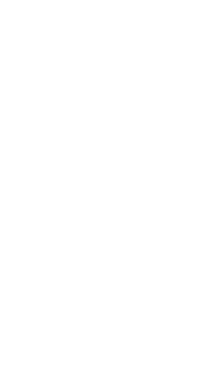 A highly efficient monitoring system ensures the detection of any detrimental practices in the field of Emiratisation