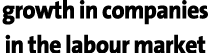 growth in companies in the labour market