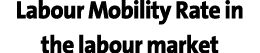 Labour Mobility Rate in the labour market
