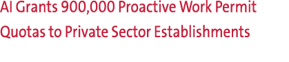 AI Grants 900,000 Proactive Work Permit Quotas to Private Sector Establishments 