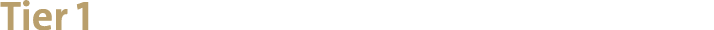 Tier 1