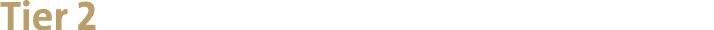 Tier 2