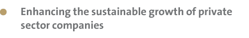  Enhancing the sustainable growth of private sector companies 