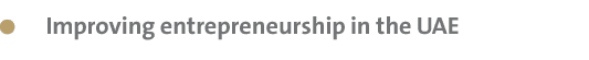  Improving entrepreneurship in the UAE