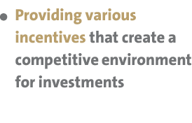  Providing various incentives that create a competitive environment for investments 