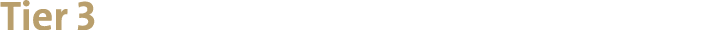 Tier 3